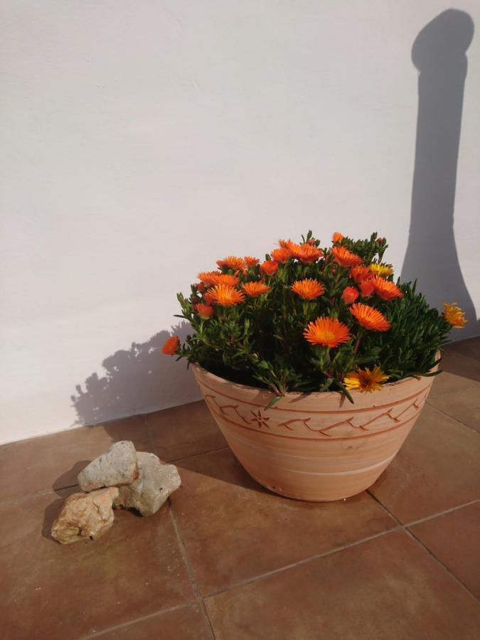 Disfruta Apartment